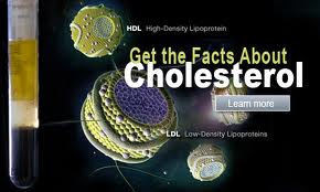 Get the Facts about Cholesterol
