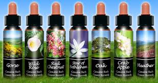 BACH FLOWER REMEDIES